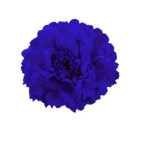 Boho Peony Flower Hair Clip, Blue, Hair Accessories, Women's