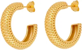 Homoyoyo Fashion Retro C-shape Hoop Earrings Large Circle Earrings for Women Minimalist Statement Earrings